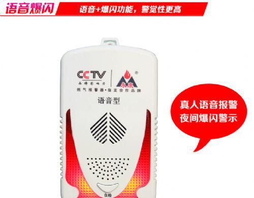永康牌燃气泄露报警器著名品牌