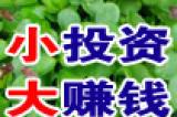 家庭商铺联网报警系统 电话报警器