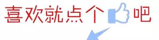 电子报警器_报警器电子围栏_报警器电子厂