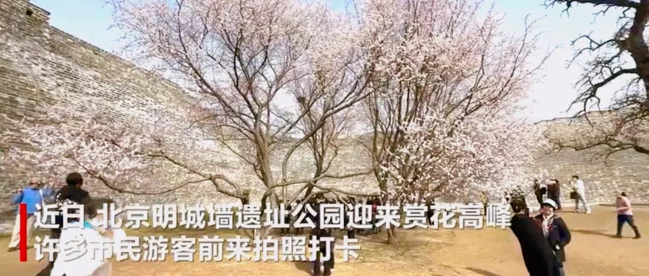 尖叫报警器怎么用_尖叫报警器有用吗_尖叫报警器